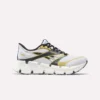 Chaussures de course FloatZig 2