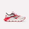 Chaussures de course FloatZig 2 AHA pour homme