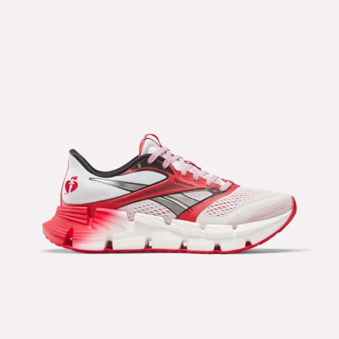 Chaussures de course FloatZig 2 AHA pour homme