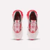 Chaussures de course FloatZig 2 AHA pour homme