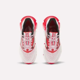 Chaussures de course FloatZig 2 AHA pour homme