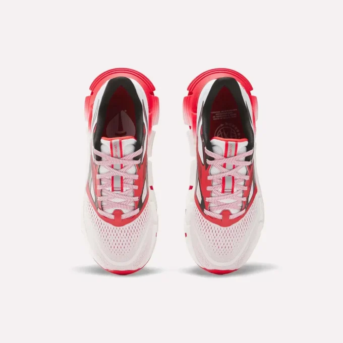 Chaussures de course FloatZig 2 AHA pour homme