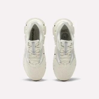 Chaussures de course FloatZig 2 pour homme