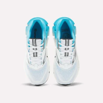 Chaussures de course FloatZig 2 pour homme