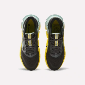 Chaussures de course FloatZig 2 pour homme