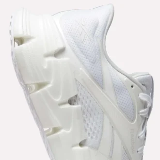 Chaussures de course FloatZig 2 pour homme