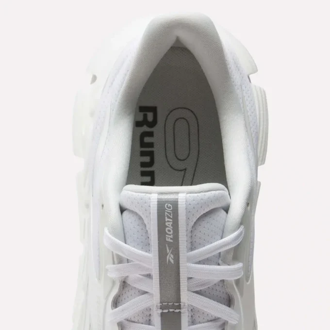 Chaussures de course FloatZig 2 pour homme
