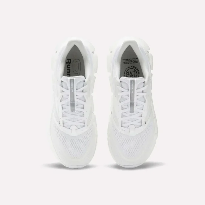 Chaussures de course FloatZig 2 pour homme