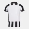 Maillot domicile Botafogo pour homme