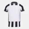 Maillot domicile Botafogo pour homme