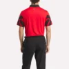 Polo Signature Vector Colorblocked pour homme