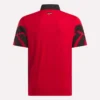 Polo Signature Vector Colorblocked pour homme
