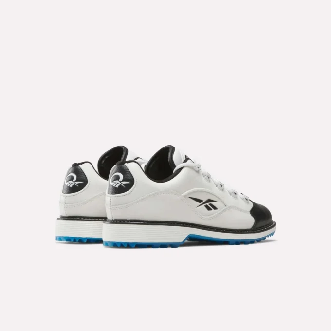 Question Chaussures de golf