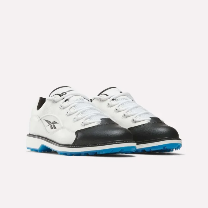 Question Chaussures de golf