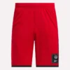 Short de basket-ball en maille pour homme