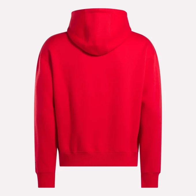 Sweat à capuche pour homme