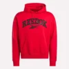 Sweat à capuche pour homme