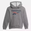 Sweat à capuche Reebok Identity Big – Grands enfants