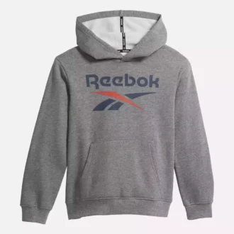 Sweat à capuche Reebok Identity Big – Grands enfants