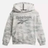 Sweat à capuche Reebok Identity Big – Petits enfants Sweat à capuche Reebok Identity Big – Petits enfants