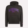 Sweat à capuche Varsity pour homme
