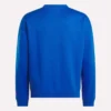 Sweat-shirt universitaire pour homme