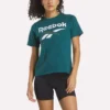 T-shirt à manches courtes et col rond pour femme avec logo bicolore